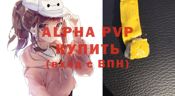 дживик Пересвет