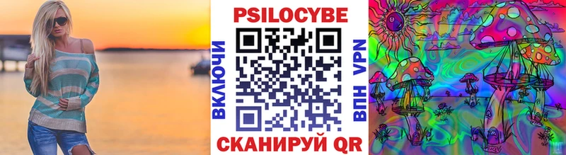 Купить  Ипатово  Псилоцибиновые грибы Cubensis 